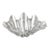 Vintage Silvered Clam Shell For Sale