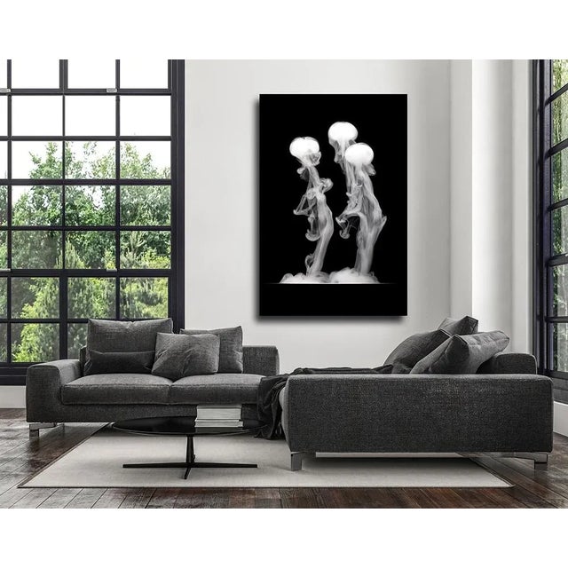 “Inspired by the classic horror movies of the 1950's, I employed an assortment of homemade devices, to manipulate smoke,...