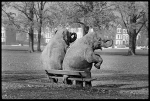 Arthur Steel: Bench Press, Limited Edition Photograph 16 X 12”