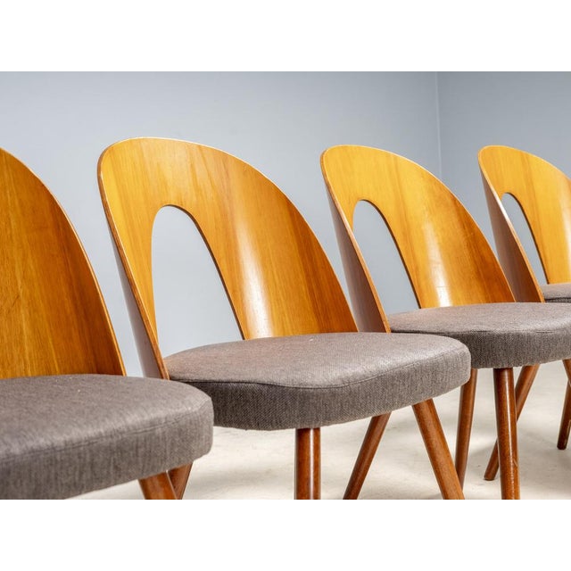 1960s Dining Chairs by Antonín Šuman for Tatra Furniture, Czechoslovakia, 1960s, Set of 4 For Sale - Image 5 of 11