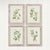 Illustration Framed Olive Leaf Botanical Prints, Set Of 4 For Sale - Image 3 of 5
