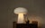 Has there ever been a lamp more deserving of taking shape by mushroom inspiration? Made entirely of mycelium composite,...