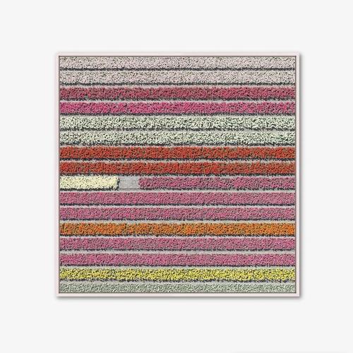 Bernhard Lang, av_tulip_fields_028: Aerial View, Limited Edition Photograph For Sale - Image 10 of 12
