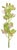 Cymbidium Orchid Flower Stem (Set of 2) For Sale