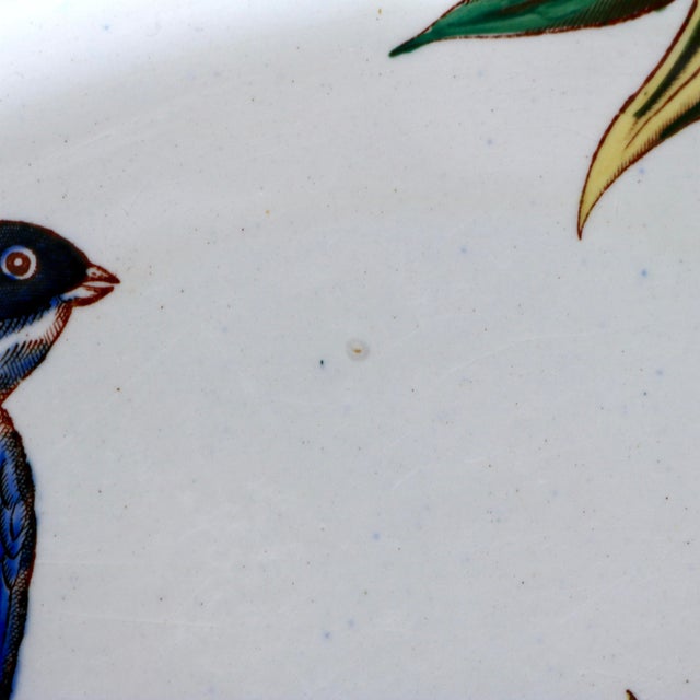 Ceramic 1881 Antique j.f. Wileman Staffordshire "Swallow" Polychrome Transferware Oval Platter - 16.25" For Sale - Image 7 of 11