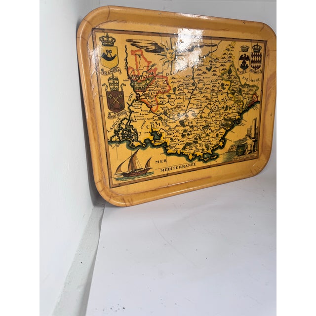 Plastic Large Vintage Provence France Tray For Sale - Image 7 of 8