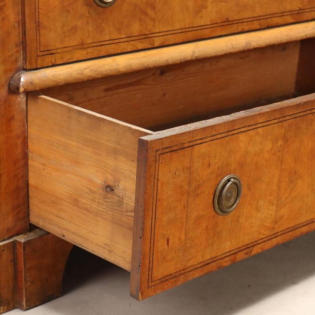 Biedermeier Secretary in Lemonwood and Ebony For Sale - Image 11 of 16