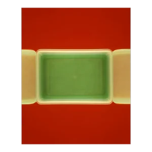 Contemporary Abstract C-Print Photography "Untitled #168" by Richard Caldicott