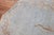 Early 20th Century Powder Blue Oval Chinese Rug - 4' x 7' For Sale - Image 11 of 12