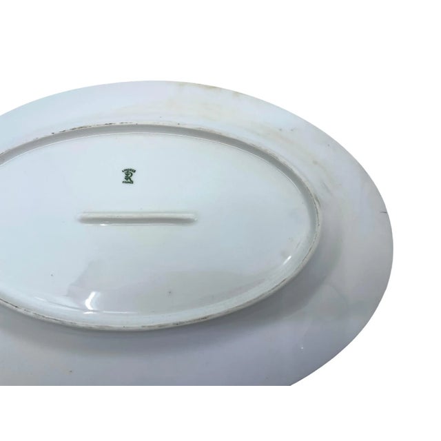Antique Pike Fish Limoges Made in France Platter For Sale - Image 10 of 12