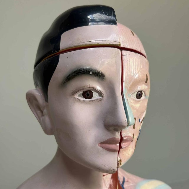Japanese Anatomical Model Nakamura, 1970s For Sale - Image 10 of 18