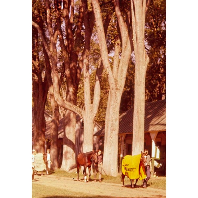 Horses and Stable Lads 1960 Race horses and stable lads at Saratoga, USA, 1960. (Toni Frissell) Antoinette Frissell Bacon...