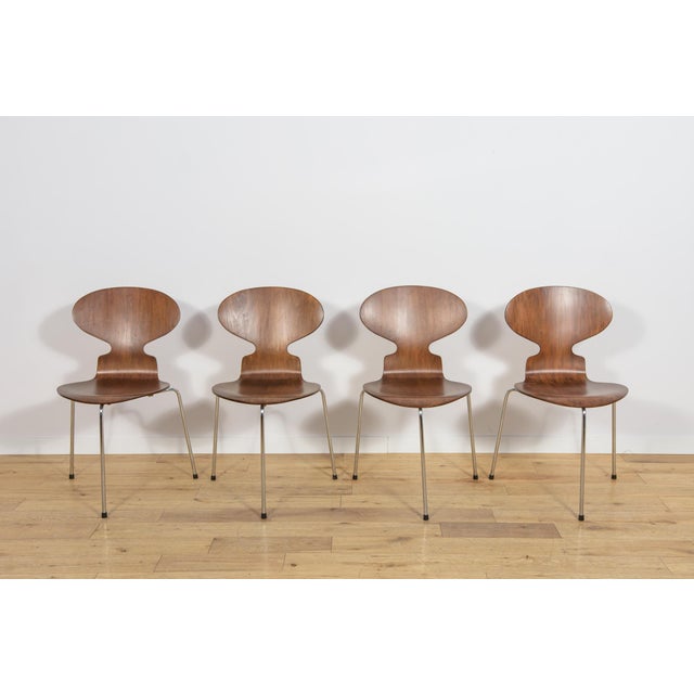 Mid-Century Modern Mid-Century Model 3101 Ant Dining Chairs by Arne Jacobsen for Fritz Hansen, Denmark, 1970s, Set of 4 For Sale - Image 3 of 18