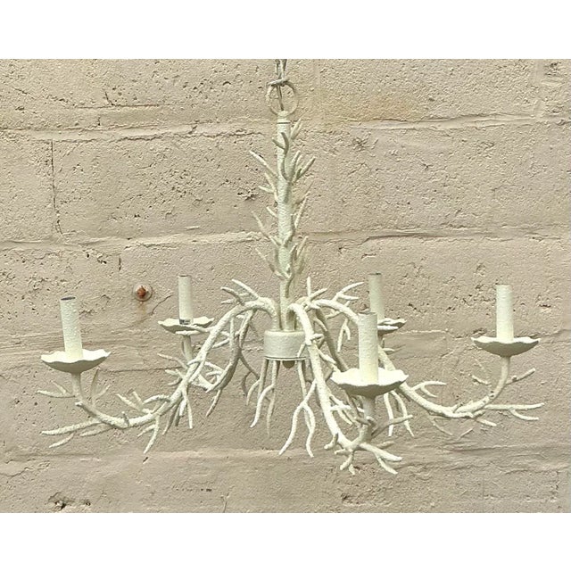 Enhance your home with the Vintage Coastal Coral Branch Chandelier. This stunning fixture captures the essence of coastal...