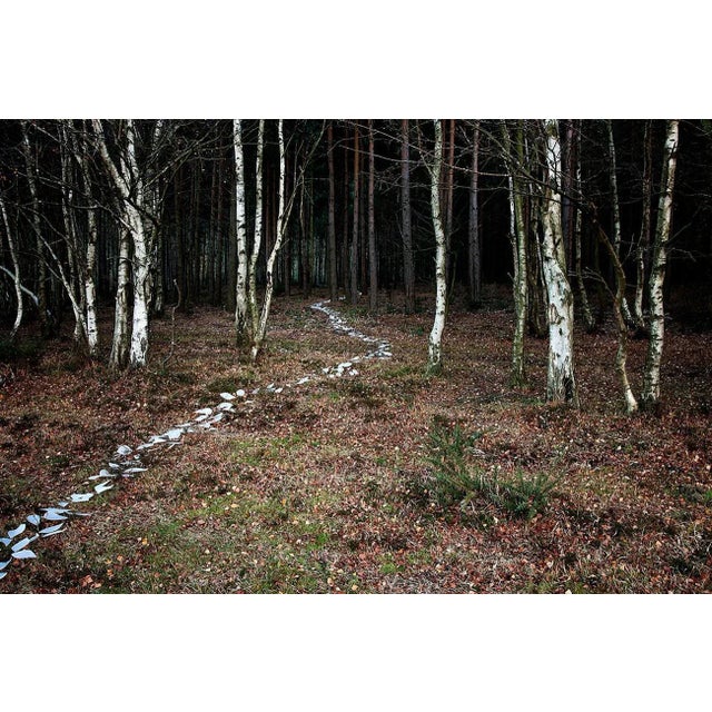 Knit One Pearl One 6 is a Digital C-Type Print on Fuji Maxima Matte paper, available in this size from a Limited Edition...