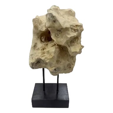 Indonesian Coral Stone On Teak Stand For Sale