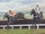 Brass 1984 Cheltenham Gold Cup Original Equestrian Oil Painting Signed by Jockeys John Francome and Phil Tuck. For Sale - Image 8 of 18