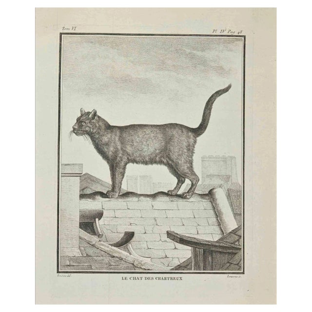 Louis-Simon Lempereur, Le Chats des Chartreux, Etching, 1771 For Sale