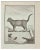 Louis-Simon Lempereur, Le Chats des Chartreux, Etching, 1771 For Sale
