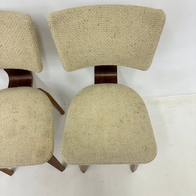 1960s Dutch Plywood Dining Chairs by Cor Alons, 1960s, Set of 4 For Sale - Image 5 of 18