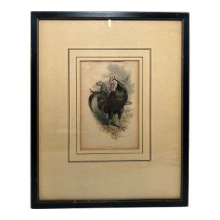 "The Henwife" Antique Chicken Engraving by the Honorable Mrs. Arbuthnot, Spanish For Sale