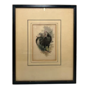 "The Henwife" Antique Chicken Engraving by the Honorable Mrs. Arbuthnot, Spanish