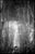 Paul Cooklin, Garibaldi Monument, Edition of 50 For Sale - Image 7 of 7