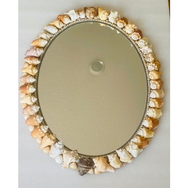 Coastal Fabulous Sea Conch Shell Encrusted Oval Mirror Tony Doucquett Style For Sale - Image 3 of 6