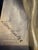 Karl H. Berberich, Legs, Oil Painting on Canvas For Sale - Image 9 of 13