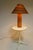 The cardboard lamp and lamp shade designed by Gregory Van Pelt are exemplary pieces of sustainable and innovative design,...