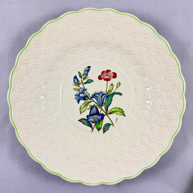 Ceramic Copeland Spode Fernleigh Pattern Floral Plates, Set of Six For Sale - Image 7 of 15