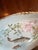 Early 20th Century Rosenthal Versailles Fish Course Plates — Set of Six, Each With a Different Scene. For Sale - Image 10 of 10