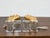 19th Century Gilt Metal Seahorse Table Lamps on Lucite Bases - a Pair For Sale - Image 4 of 7