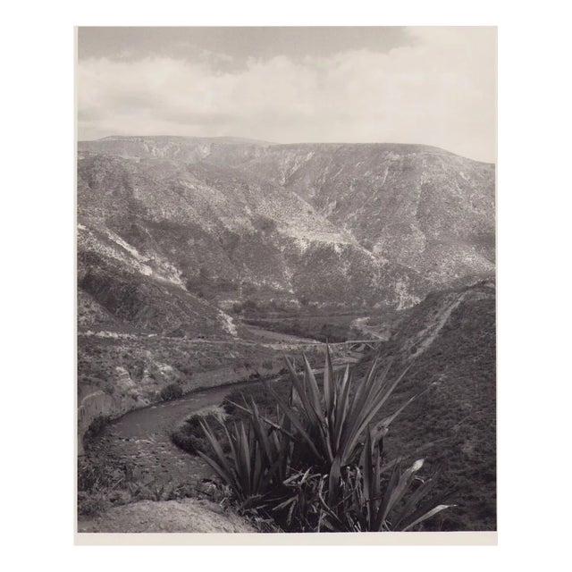 Hanna Seidel, Ecuadorian Landscape, 1960s, Black and White Photograph For Sale