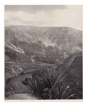 Hanna Seidel, Ecuadorian Landscape, 1960s, Black and White Photograph