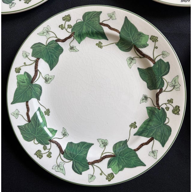 Wedgwood Napoleon Ivy Wedgwood Vintage Plates - Set of 5 For Sale - Image 4 of 8