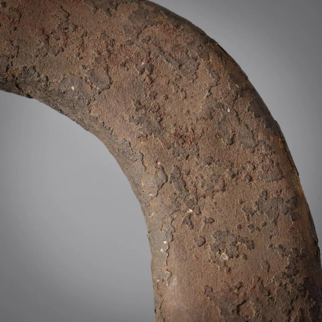 African Early 20th Century Mama Mangam Bush Cow Headcrest Nigeria For Sale - Image 3 of 9