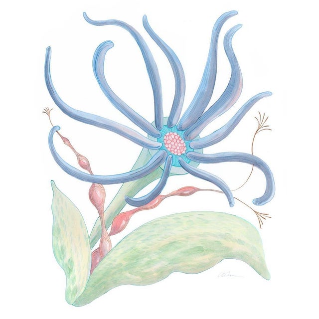 "Seaweed Fantasy Series" Contemporary Coastal Coral Reef Acrylic Paintings by Allison Cosmos - Set of 9 For Sale - Image 10 of 11