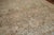 Textile Early 20th Century Zabihi Collection Spectacular Large Scale Neutral Persian Oversize Bakhtiari Rug - 6'6" x 20' For Sale - Image 7 of 12
