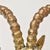Mid 20th Century Huge Brass Gazelle Bust on Wood Single Bookend Made in Spain For Sale - Image 10 of 15