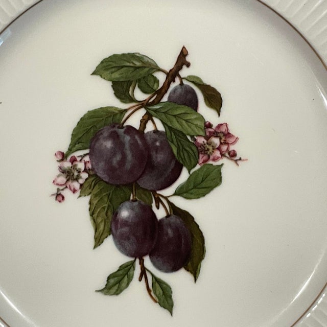 1970s Thornberry’s u.s.a. Fruit Plates Porcelain Set of 4 - 7 3/4” For Sale - Image 9 of 13