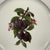 1970s Thornberry’s u.s.a. Fruit Plates Porcelain Set of 4 - 7 3/4” For Sale - Image 9 of 13