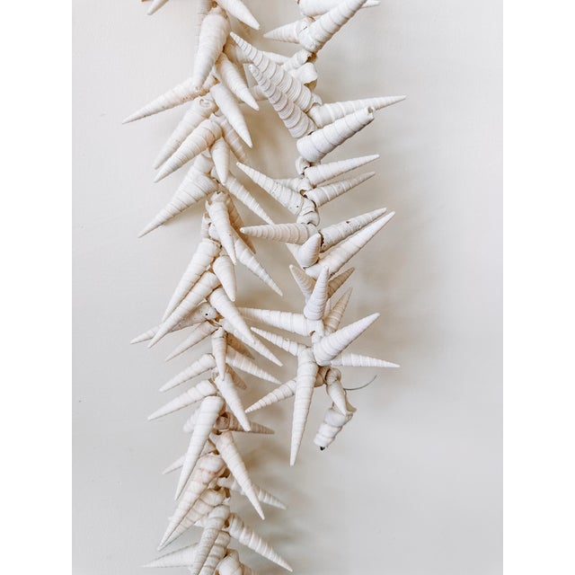 Vintage elegant real seashell garland strung on fishing line. Made of natural turritella shells and measures 53 inches...