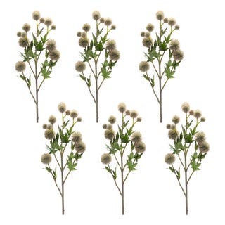 Sage Allium Floral Spray (Set of 6) For Sale