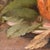 Auguste Aridas, Small Still Life with Pomegranate, 19th Century, Oil on Canvas, Framed For Sale - Image 7 of 10