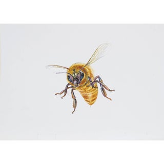 Juris Utans, Fluffy Bee, 2021, Mixed Media and Paper For Sale