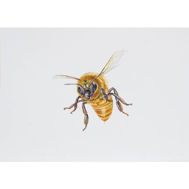 Juris Utans, Fluffy Bee, 2021, Mixed Media and Paper For Sale