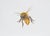 Juris Utans, Fluffy Bee, 2021, Mixed Media and Paper For Sale