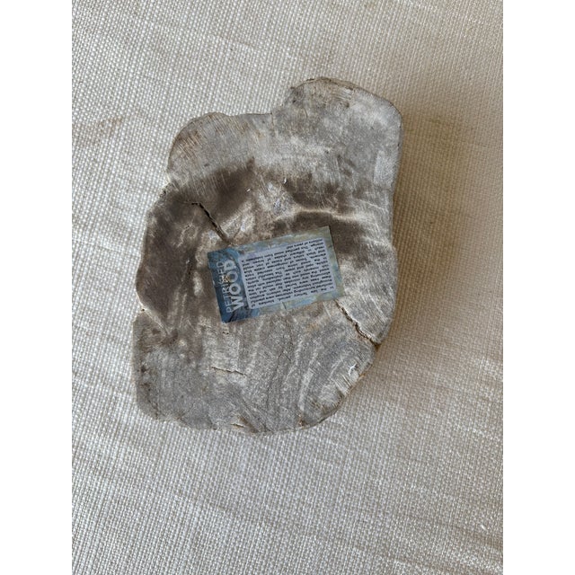Hand-Carved Petrified Teak Bowl / Organic Rustic Decorative Vessel For Sale - Image 10 of 10