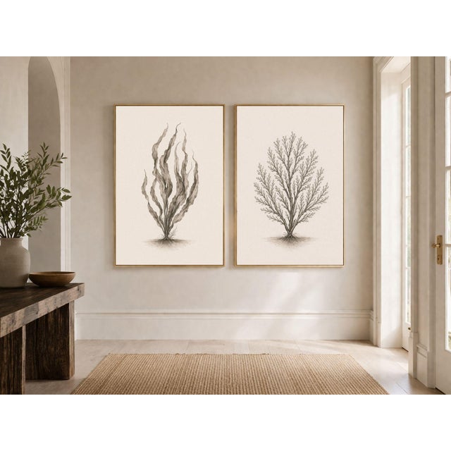 Coastal Botanical Study Set of 2, Minimalist Seaweed & Coral Art Prints, 24" × 36" Each Reproduction For Sale - Image 4 of 8